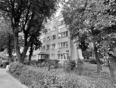 Zdjęcie 15726394