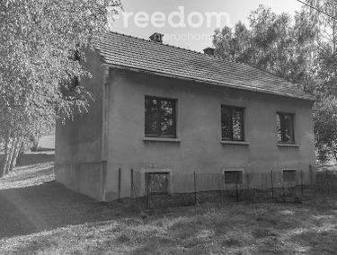 Zdjęcie 15727036