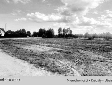 Zdjęcie 15728012