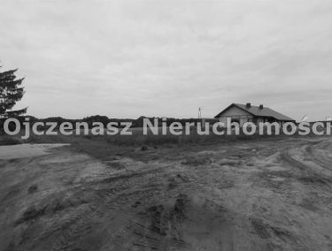 Zdjęcie 15728664