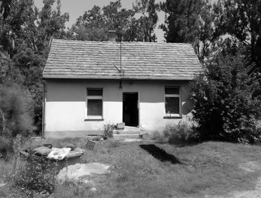 Zdjęcie 15728881