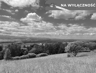 Zdjęcie 15729164
