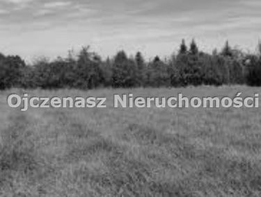 Zdjęcie 15729387