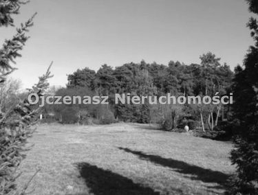 Zdjęcie 15729401