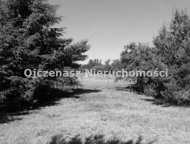 Zdjęcie 15729465