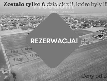 Zdjęcie 15731211