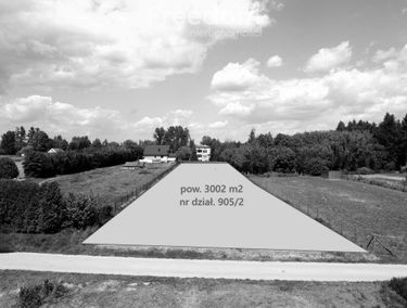 Zdjęcie 15731802
