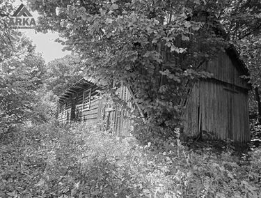 Zdjęcie 15731974
