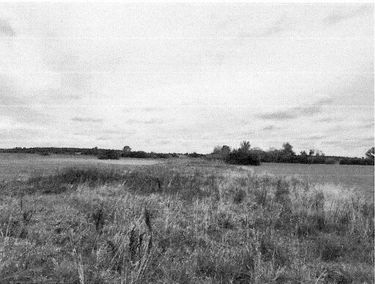 Zdjęcie 15732004