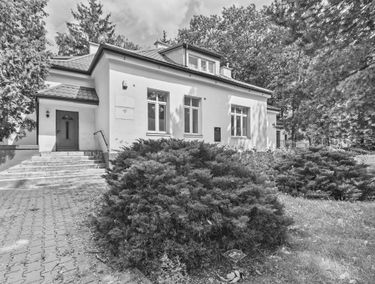 Zdjęcie 15733491