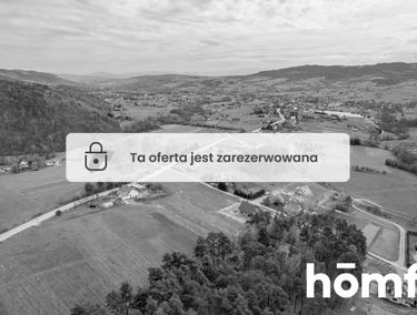 Zdjęcie 15733710