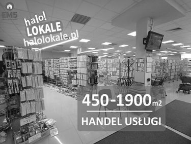 Zdjęcie 15734475
