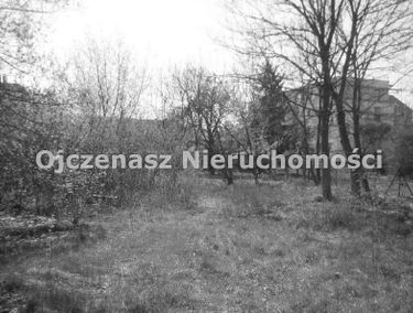 Zdjęcie 15734575