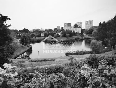 Zdjęcie 15736351
