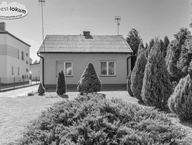 Zdjęcie 15736945