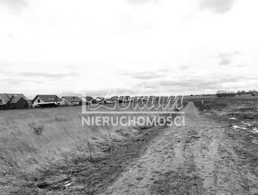 Zdjęcie 15737088