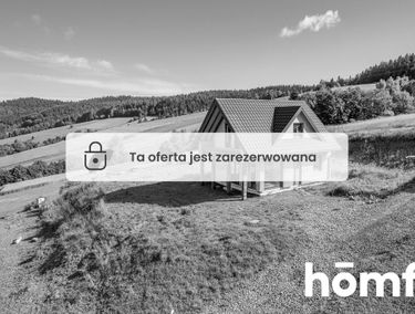 Zdjęcie 15737999