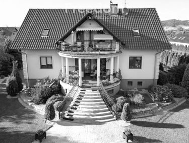 Zdjęcie 15738623