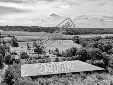 Zdjęcie 15738928