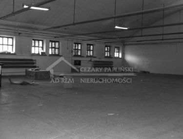Zdjęcie 15740670