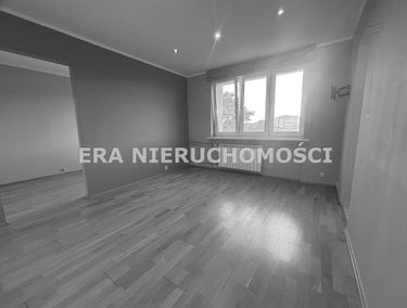 Zdjęcie 15740695