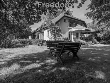 Zdjęcie 15741590