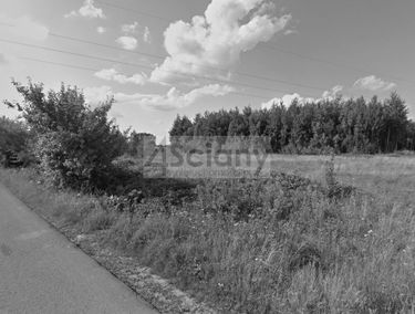 Zdjęcie 15741640