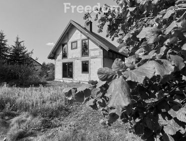 Zdjęcie 15741722