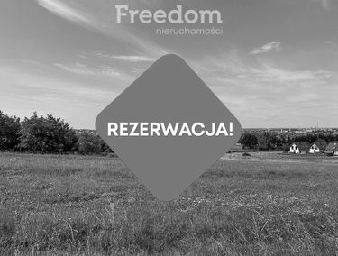 Zdjęcie 15742442