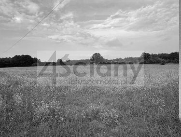 Zdjęcie 15742704