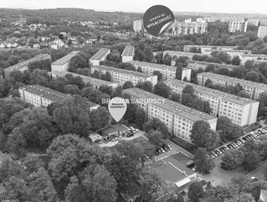 Zdjęcie 15742991