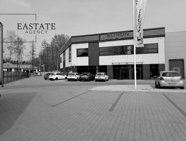 Zdjęcie 15744890