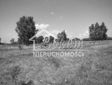 Zdjęcie 15745277