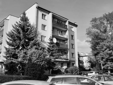 Zdjęcie 15746236