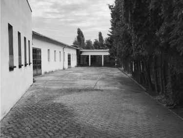 Zdjęcie 15746398