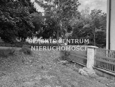 Zdjęcie 15746773