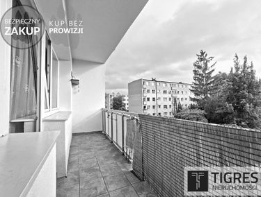 Zdjęcie 15750001