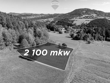 Zdjęcie 15750029