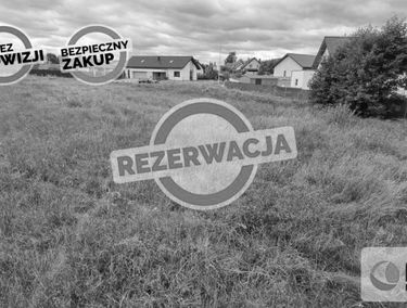 Zdjęcie 15750574