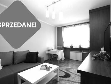 Zdjęcie 15751048
