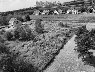 Zdjęcie 15752248