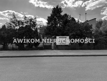 Zdjęcie 15752613