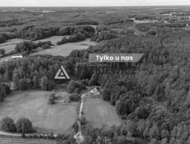 Zdjęcie 15752684