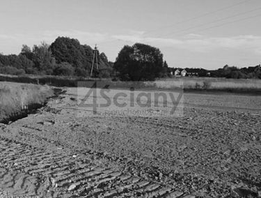 Zdjęcie 15753264
