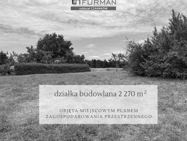 Zdjęcie 15754967