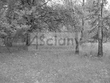 Zdjęcie 15757519