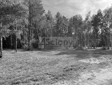 Zdjęcie 15758919