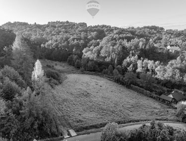 Zdjęcie 15759558