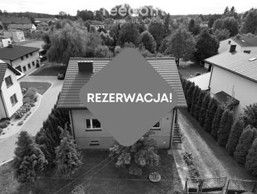 Zdjęcie 15761772