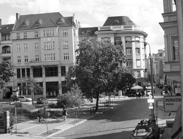 Zdjęcie 15762052
